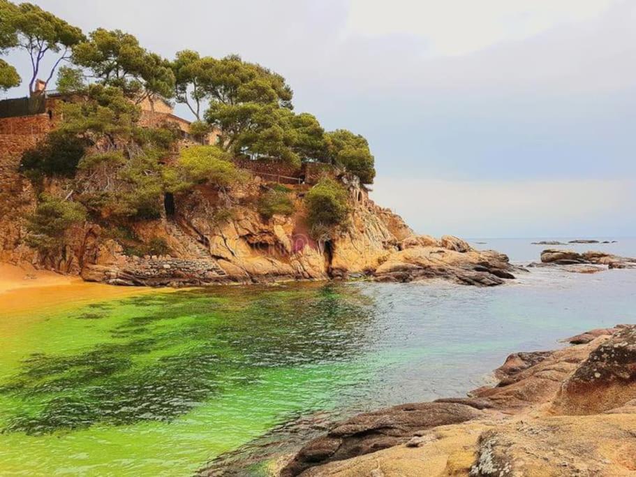 Apartamento Platja D 'Aro, 5 Camas 2 Dormitorios Platja d'Aro Eksteriør billede
